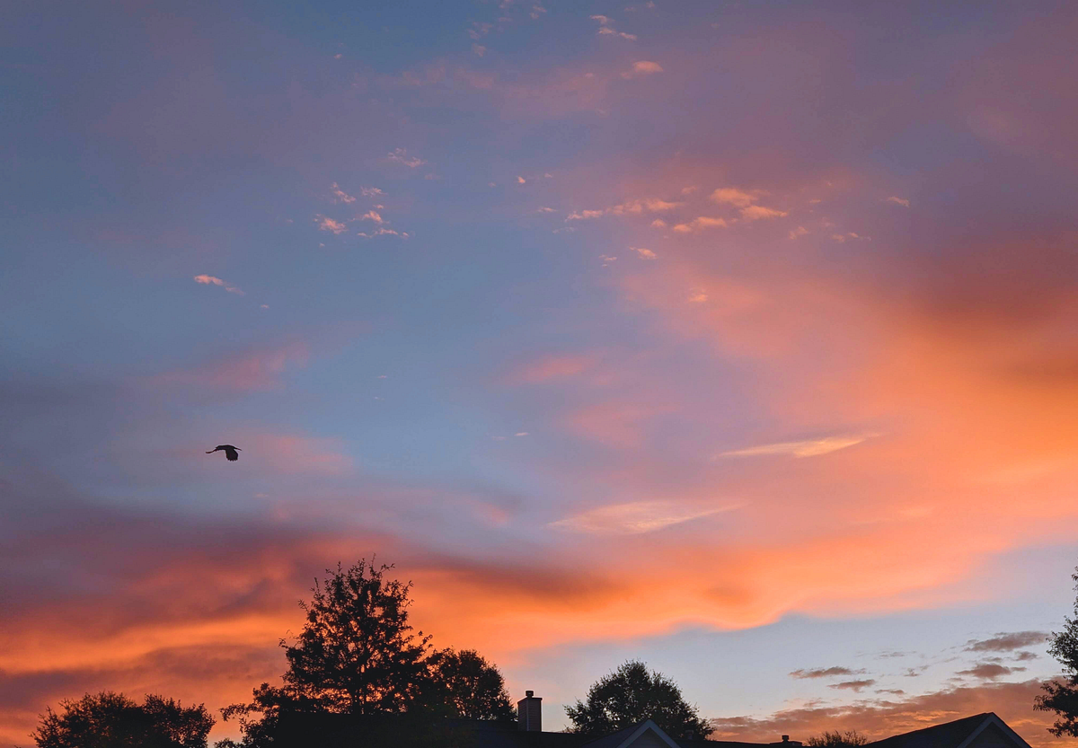 have-you-looked-at-the-sky-today-look-up-look-around-by-emmaline