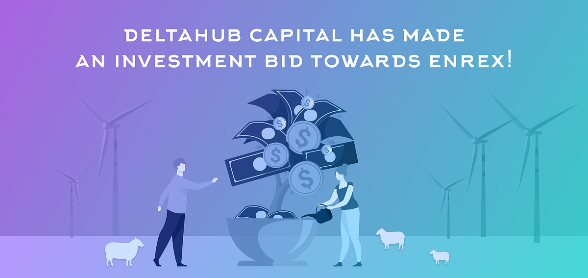 DeltaHub Capital Has Made an Investment Bid Towards Enrex! by ENREX