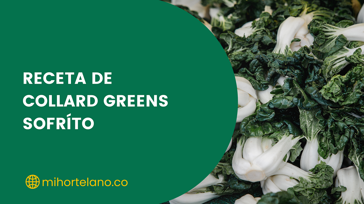 RECETA DE COLLARD GREENS SOFRÍTO. INGREDIENTES by Mi Hortelano Medium