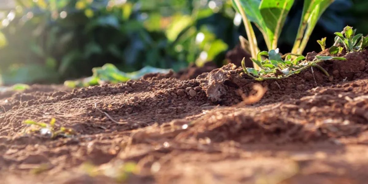 Soil Testing Edmonton Ensuring the Foundation of Success by Security