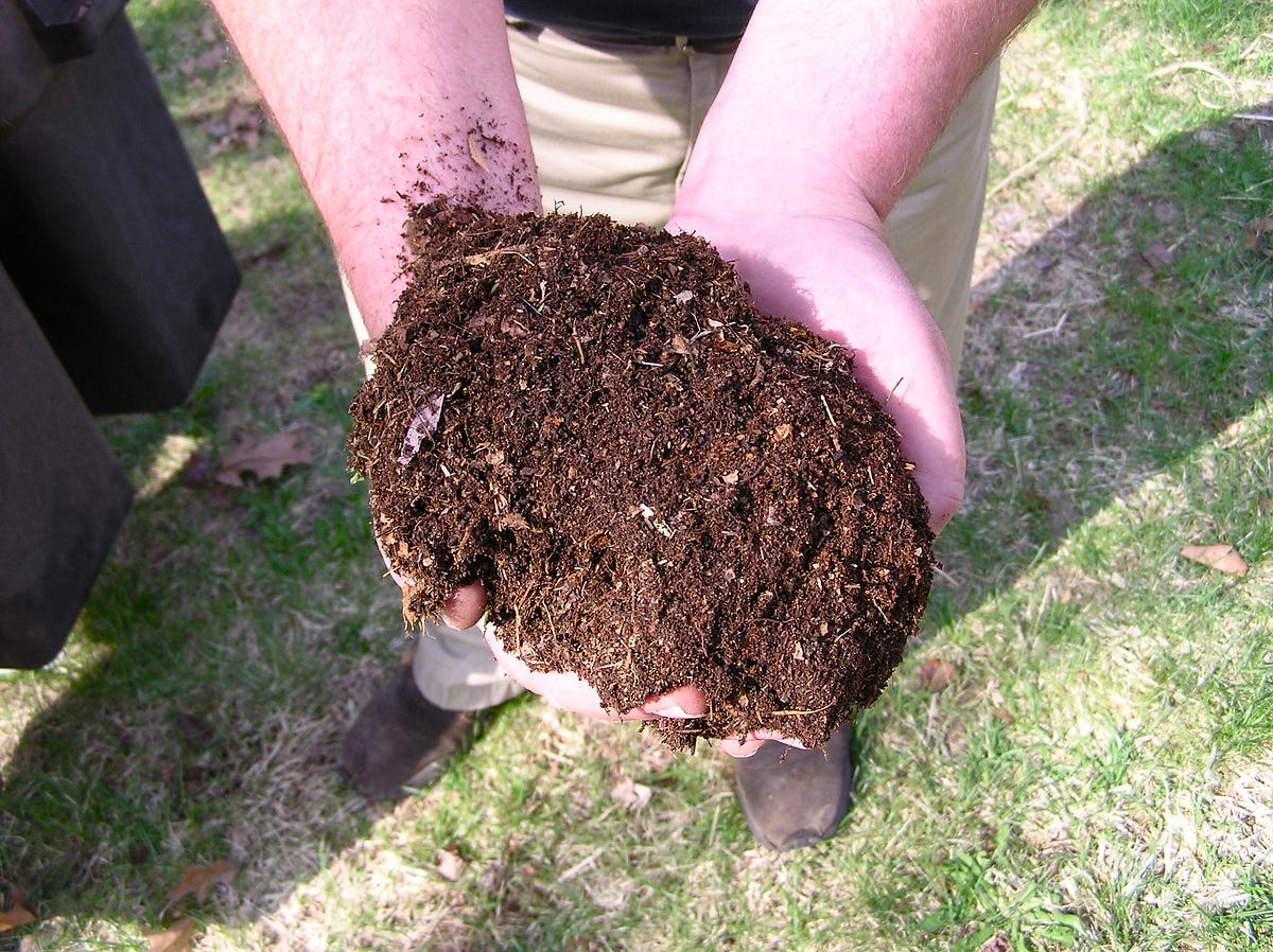Why should I make compost?. What is the point of composting? by Dave