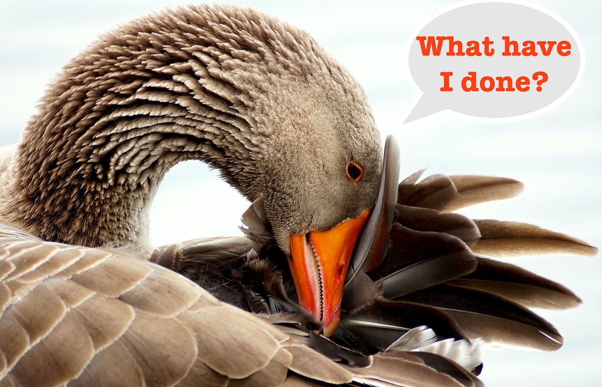 What’s Good for the Goose Is … Murder for the Gander by Judy Millar The Haven Medium