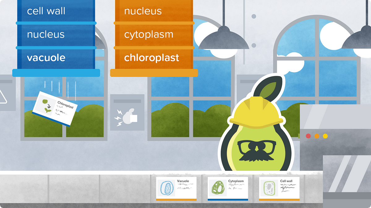 Introducing Pear Deck Vocabulary and Flashcard Factory by Pear Deck