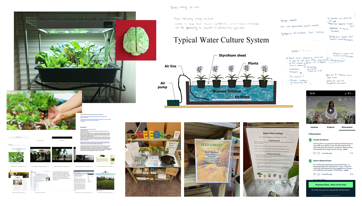 Capstone Process. Entry 09 — 9 July, 2021 | by Matthew Hogan | Medium