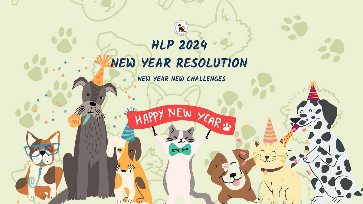 HLP 2024 New Year Resolution New Year New Challenges By Hug Love   1*aBRFLxr7ONYWyONlZeQHcQ 