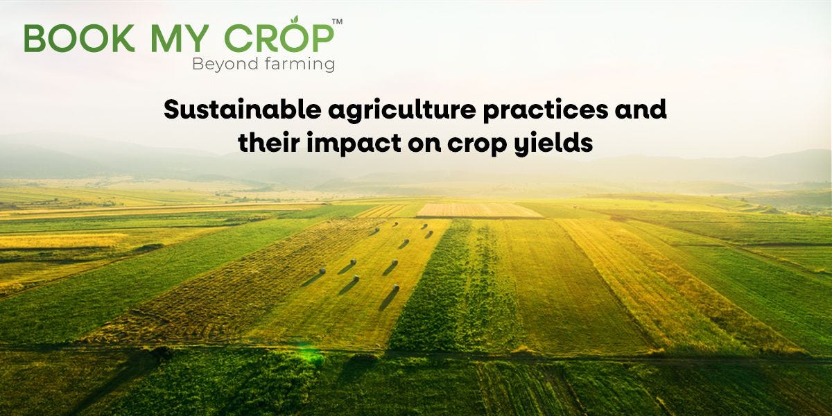 Sustainable Agriculture Practices and Their Impact on Crop Yields by