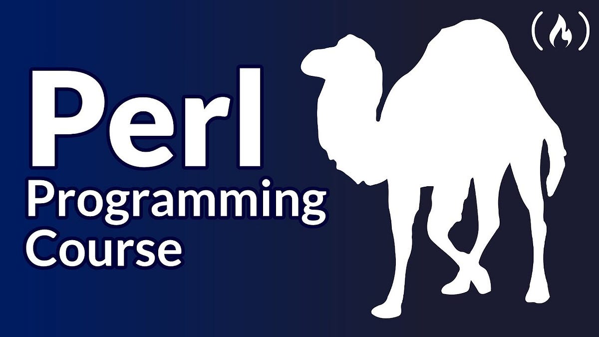 Step-by-Step Guide to Learning PERL Programming: From Novice to Expert ...