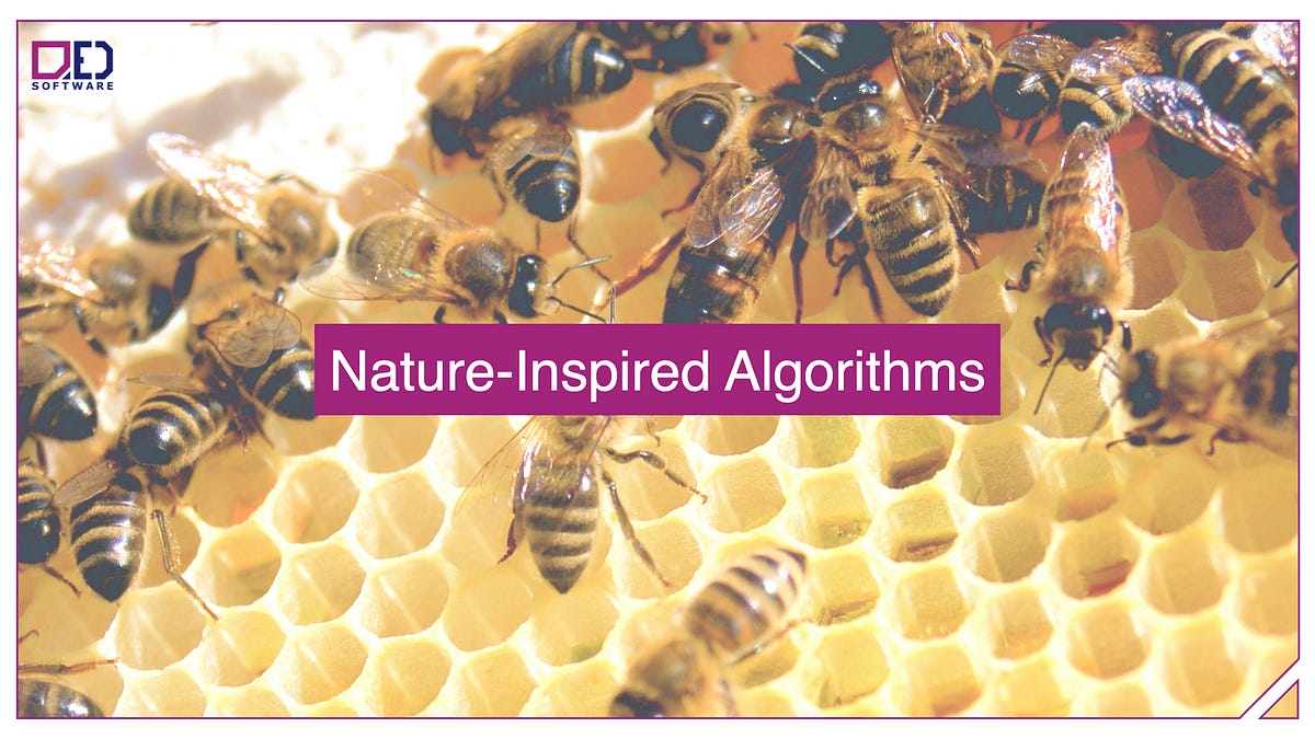 Nature-Inspired Algorithms. by Maciej Świechowski | by QED Software ...