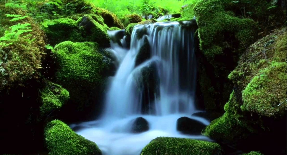 Streamline Machine Learning. Introduction to Python’s streamml2 | by ...