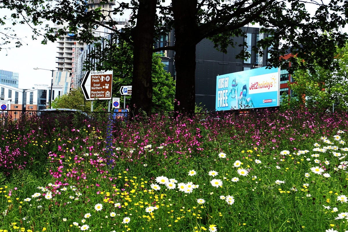 Biodiversity Net Gain — The new legislation & what it means for your