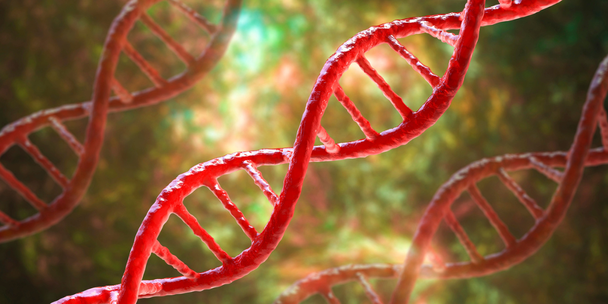 The MTHFR Gene: What This Hidden Health Factor Could Mean for You