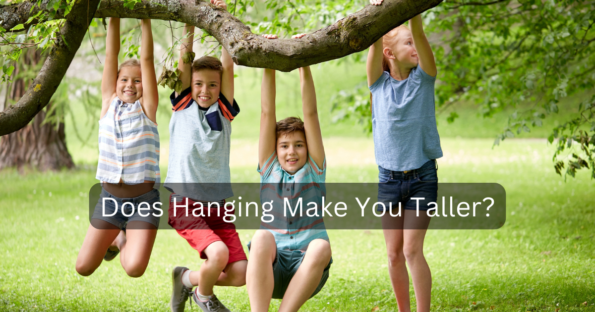 Does Hanging Make You Taller? Stylita Medium