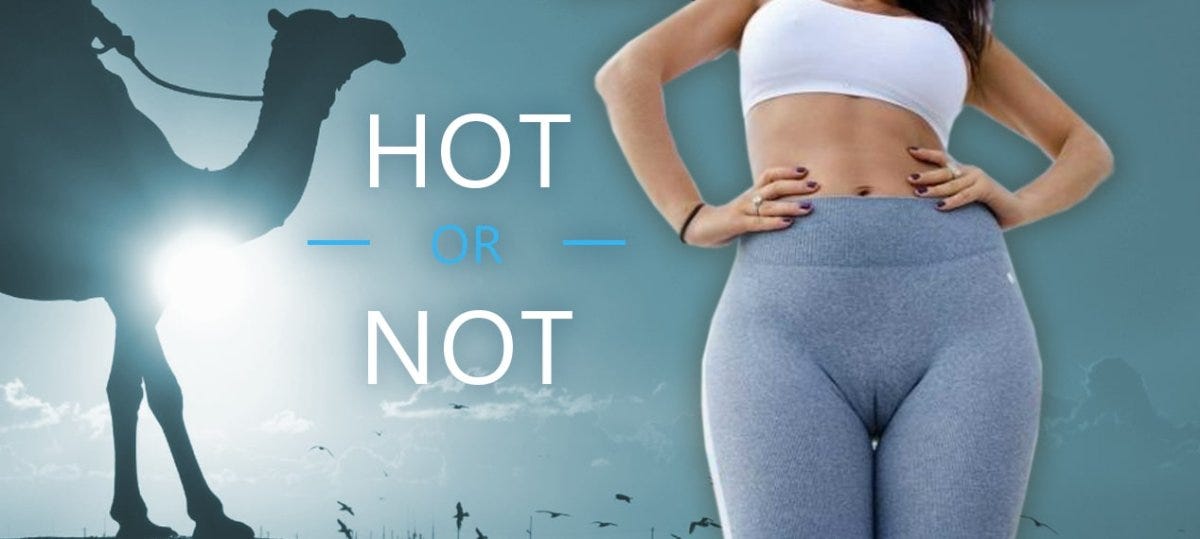 Flawless Fit: Navigating the Camel Toe Conundrum in Athleisure Fashion, by  Flurr