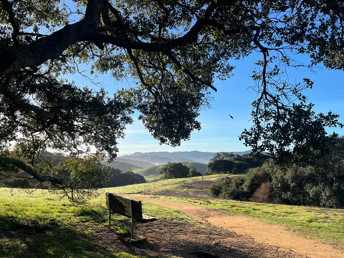 Petaluma: A Visitor's Guide - Gabe Kleinman