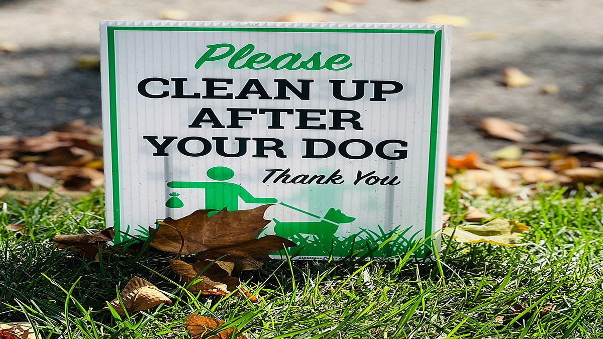 The best ways to dispose of dog poop at home by Make Yourself