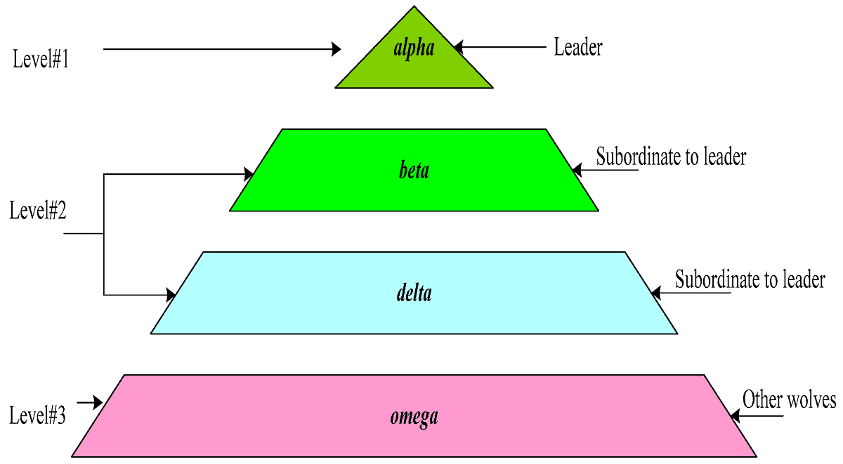 From Alpha to Omega How Wolves Hierarchy Influences the Design and Performance of Distributed