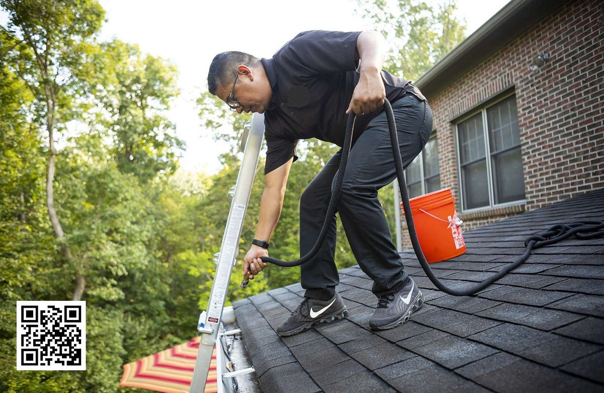 Insect Washing The Role of Exterior House Washing in Preventing Pests and Insects ...