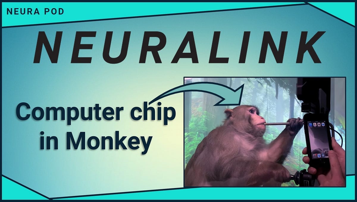 Neuralink Monkey Plays Mind Pong. Would you insert a chip in your brain