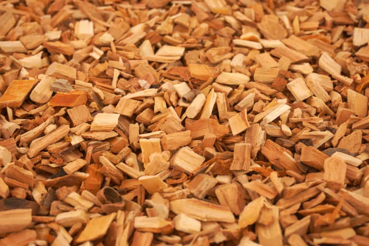 Hickory Firewood — How Good Is It To Burn? | by Atifsemab | Sep, 2023 |  Medium