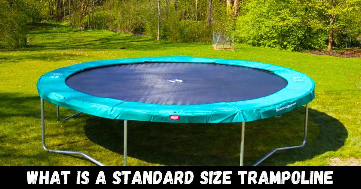 What Is A Standard Size Trampoline? Trampoline Mind Medium