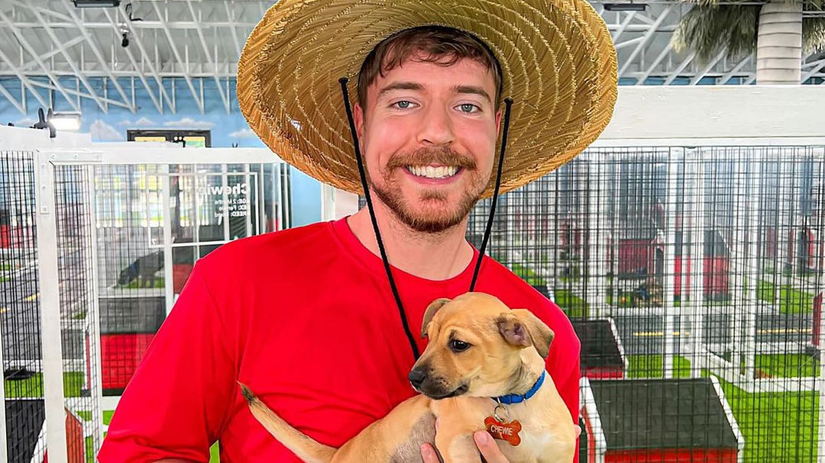 Mr Beast Net Worth - Megastar Net Worth - Medium