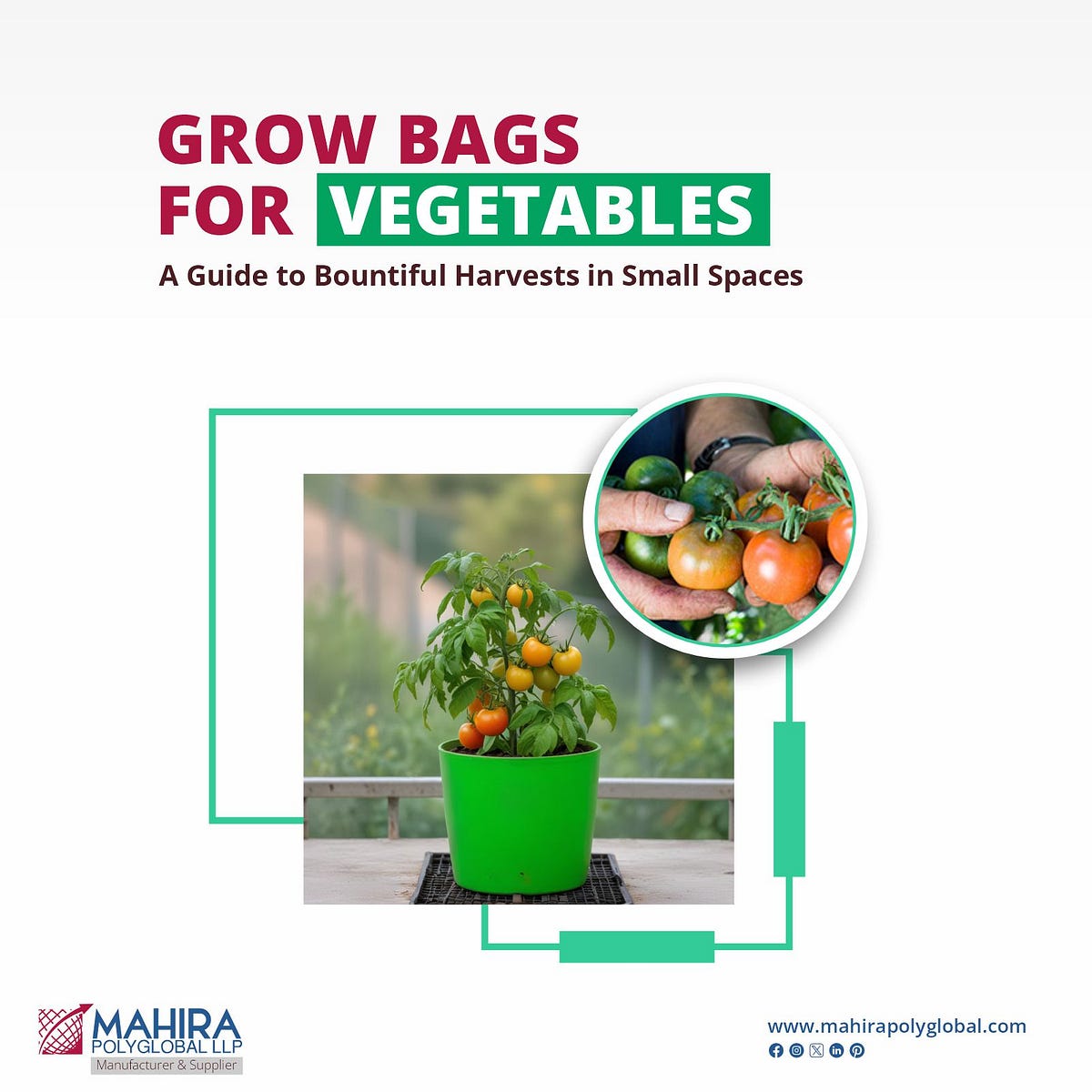 Grow Bags for Vegetables A Guide to Bountiful Harvests in Small Spaces