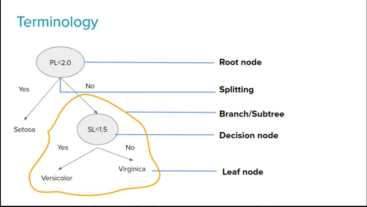 Decision Tree Algorithm Working, Its Parameter, Advantage ...