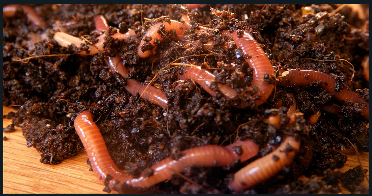 at home Getting Started by Amit Pandey Medium