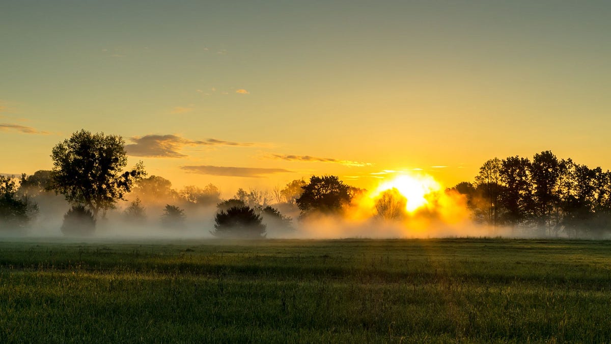 How to Create a Morning Routine That Works for You: 8 Useful Tips by How to Create a Morning Routine That Works for You: 8 Useful Tips by