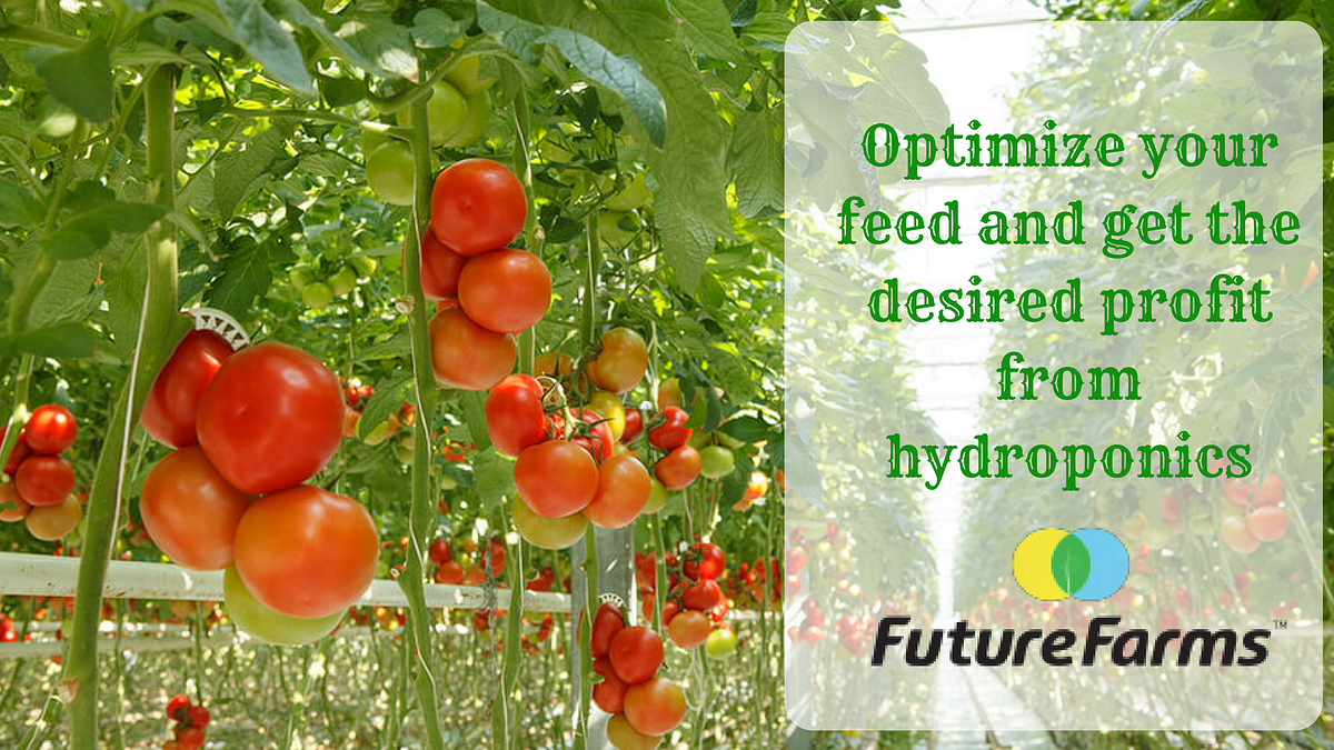 NFT Hydroponics System. Optimize your feed and get the desired… by monu Medium