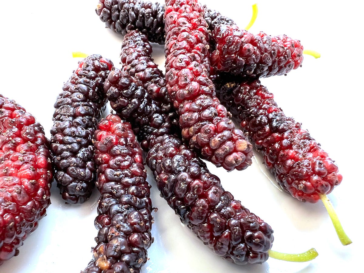 Image of: Have You Tried This Bay Area Superfood Yet?