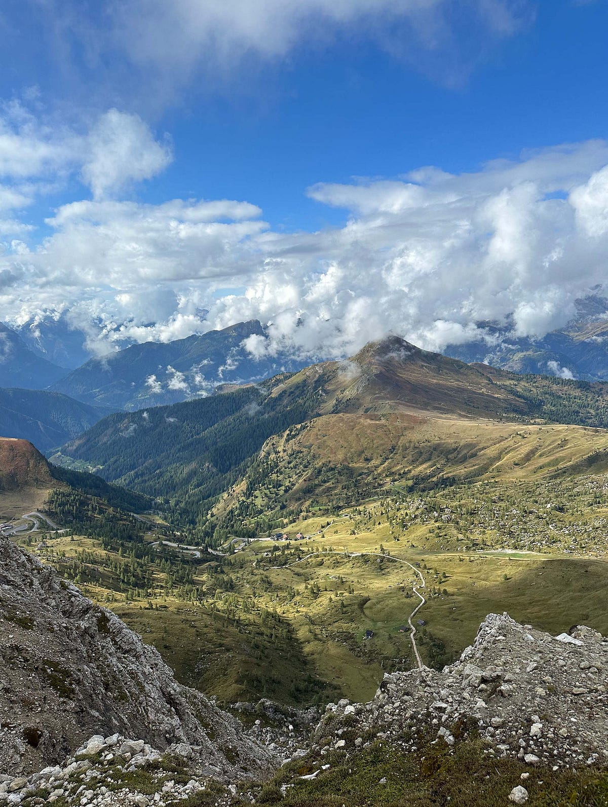 we the best grateful 3s