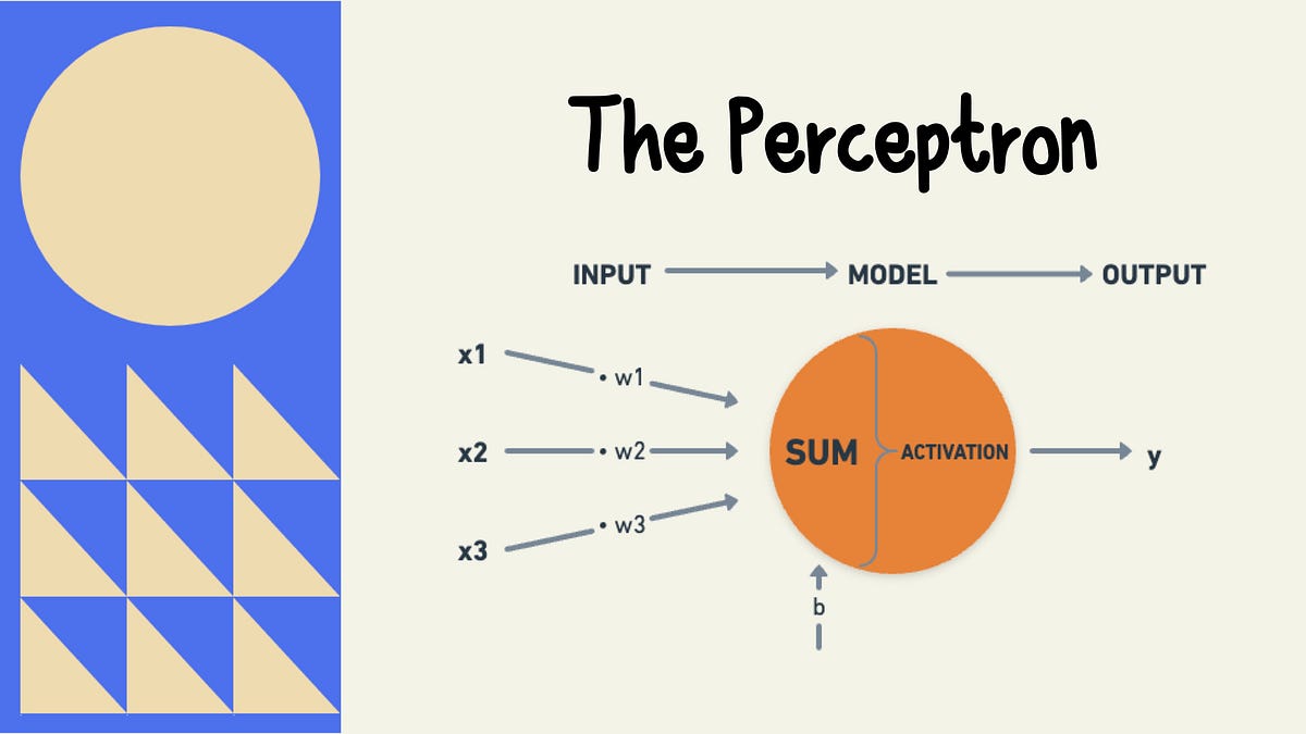 The Perceptron Explained. To understand neural networks, you must… | by ...