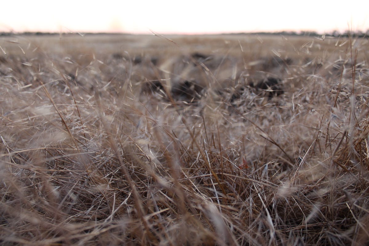 The wisdom of fallow fields. We like to pretend we can always… by