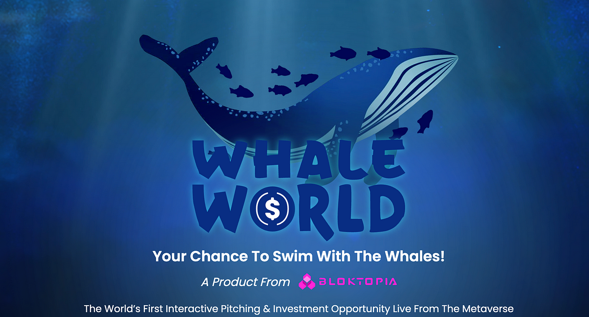 Facebook launches new Whale app that lets you create your own