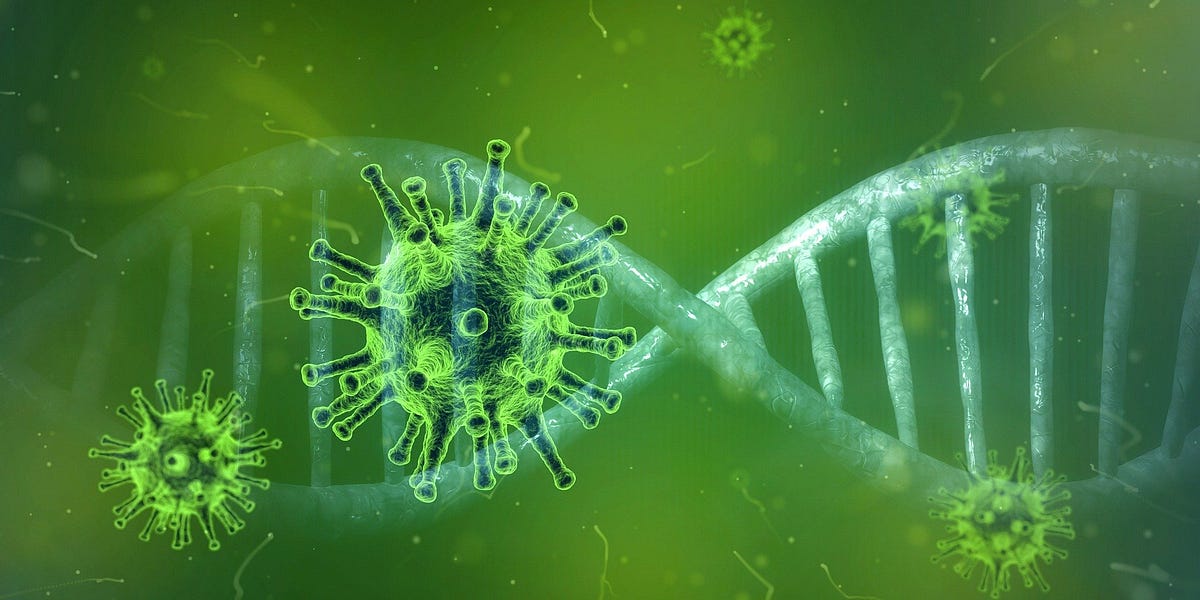 Virus 101: Answers to Basic Virology Questions | by Kamal Kant | Medium