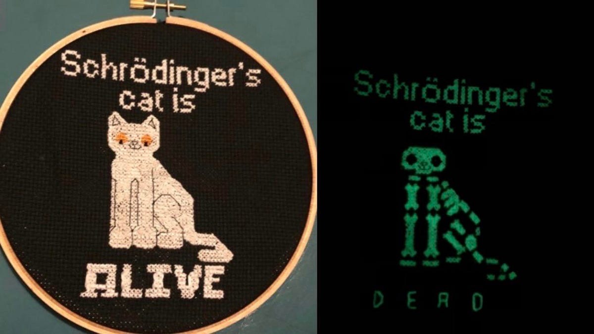 Schrodinger's Cat and Collective Consciousness | by Fahim Ahmed | THE CROWN  | Medium