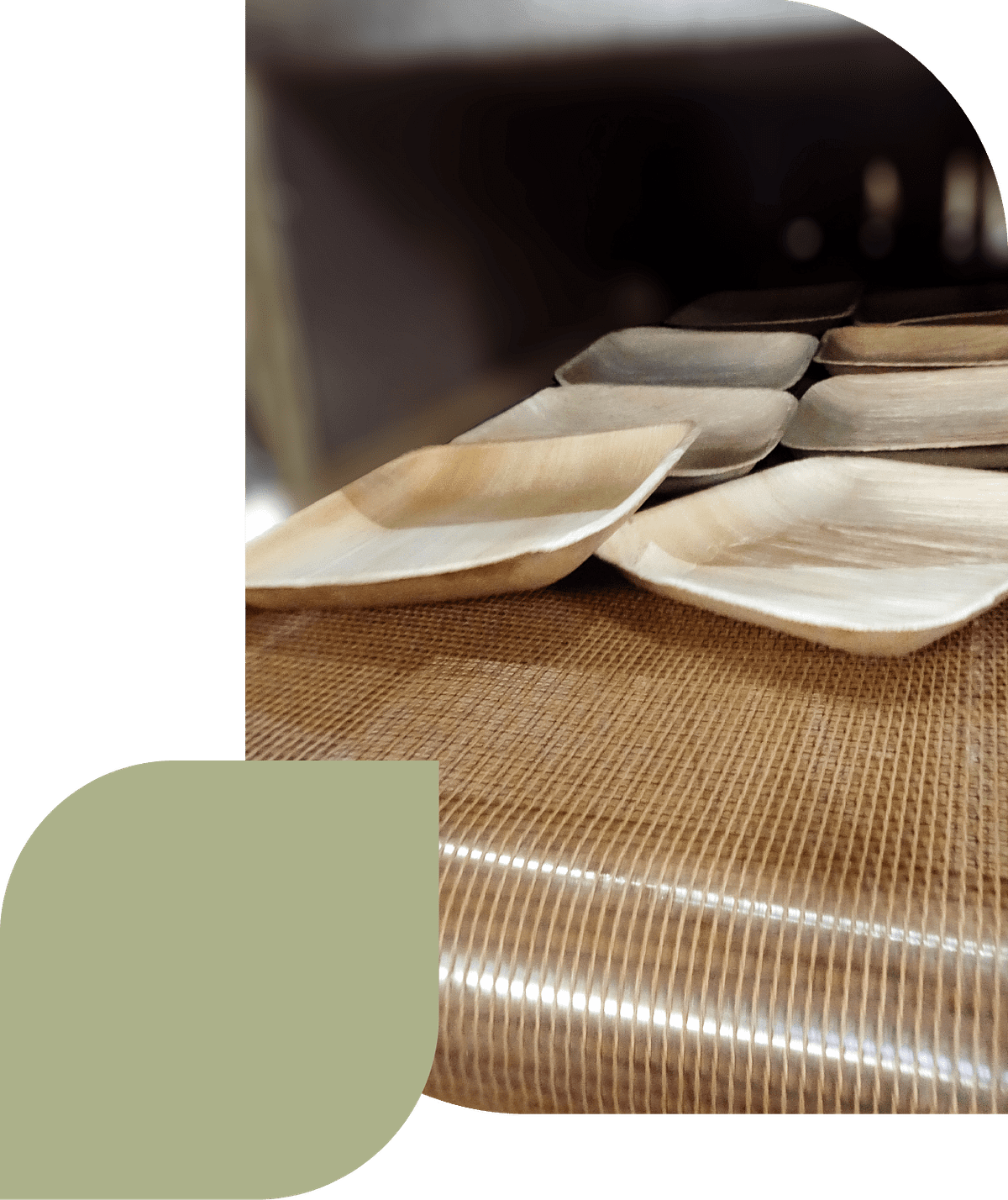 Palm leaf plates are ecofriendly are a costeffective Agrileaf by Agrileaf Medium