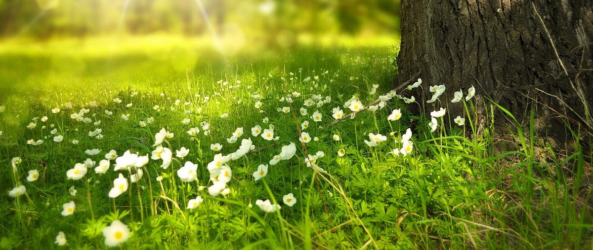 Eventdriven architecture and semantic coupling by Prajwalan Karanjit