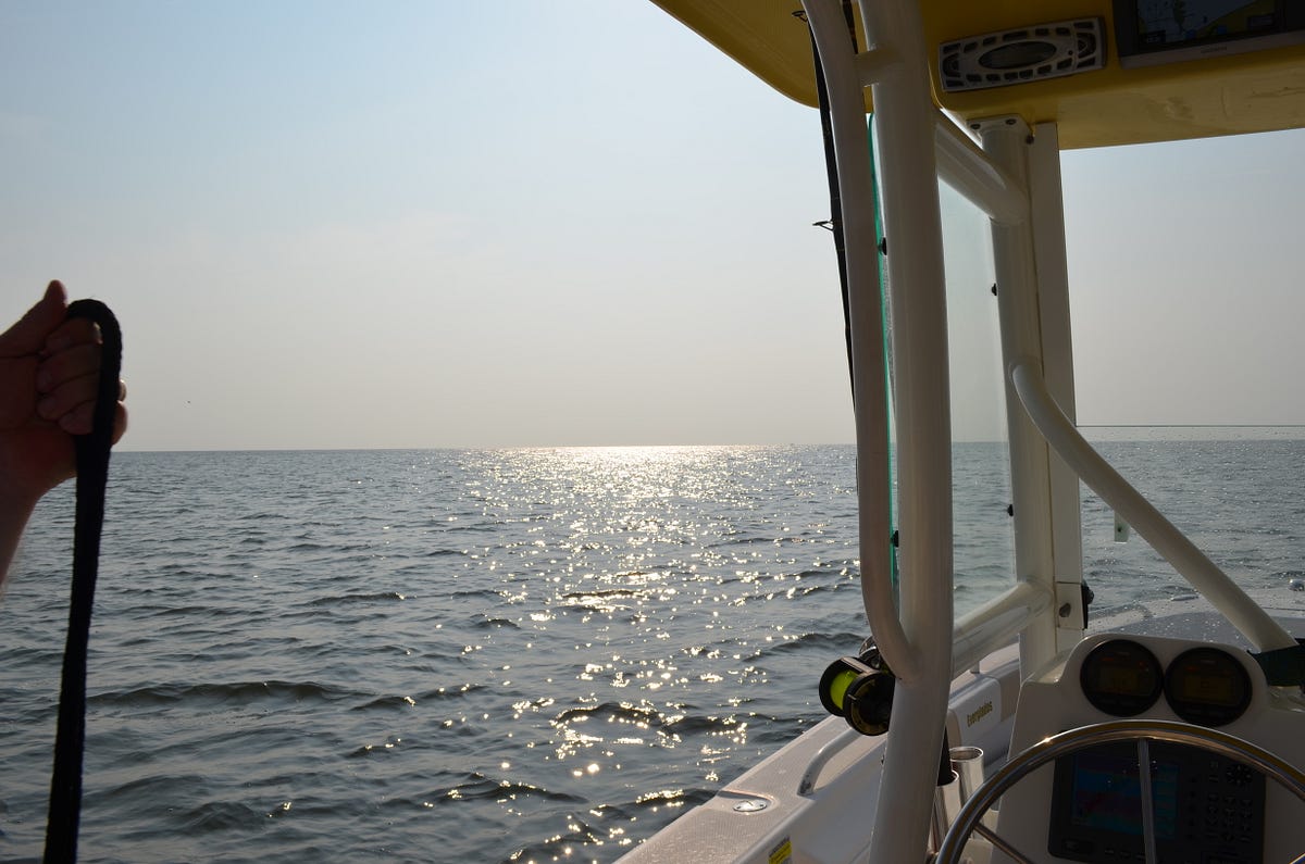 Senior Film Production Portfolio 3 by Peyton McDonough Medium