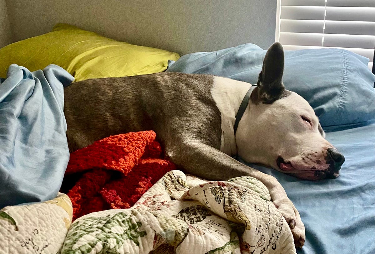 5 Effective Things to Do When You’re Struggling to Get Out of Bed by