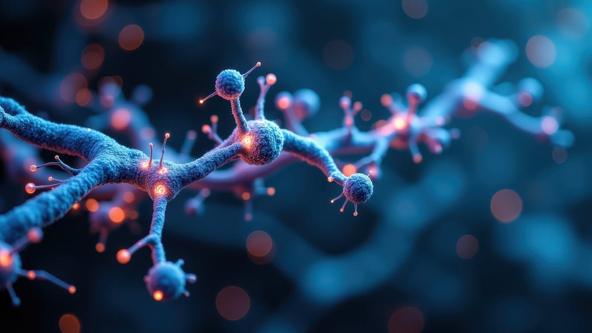 Can Redox Signals Come From Outside the Body? The Emerging Science of Exogenous Signaling