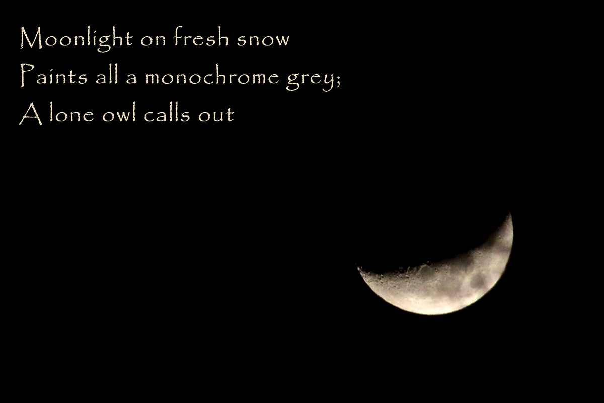 Haiku for a Frozen Night - K R Smith - Medium