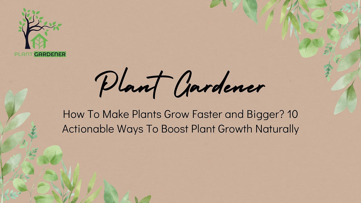 How To Make Plants Grow Faster and Bigger? 10 Actionable Ways To Boost