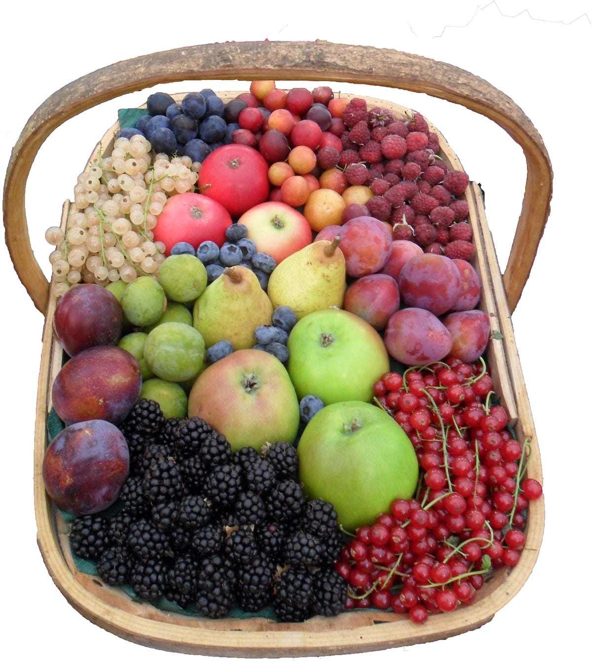 Foods To Help You Concentrate Boost Your Mood By Susie Kearley foods-to-help-you-concentrate-boost-your-mood-by-susie-kearley