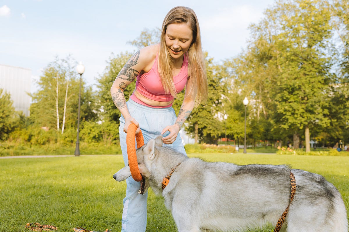 Enhancing Canine Intelligence And Behavior A 21 Game Dog Training enhancing-canine-intelligence-and-behavior-a-21-game-dog-training