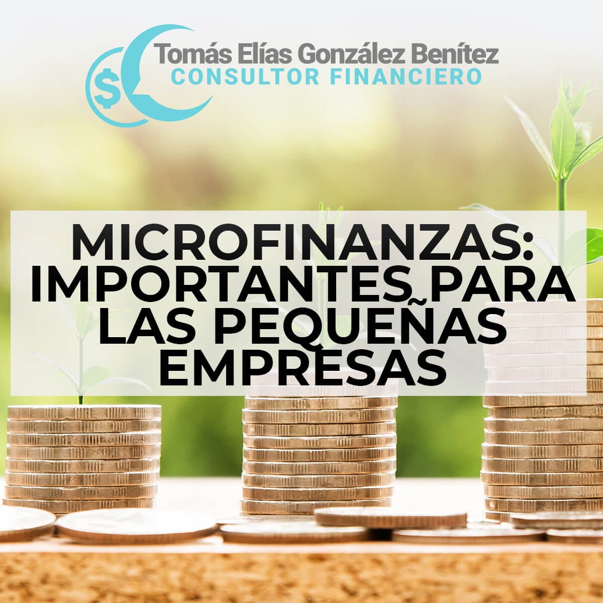 Microfinanzas: importantes para las pequeñas empresas
