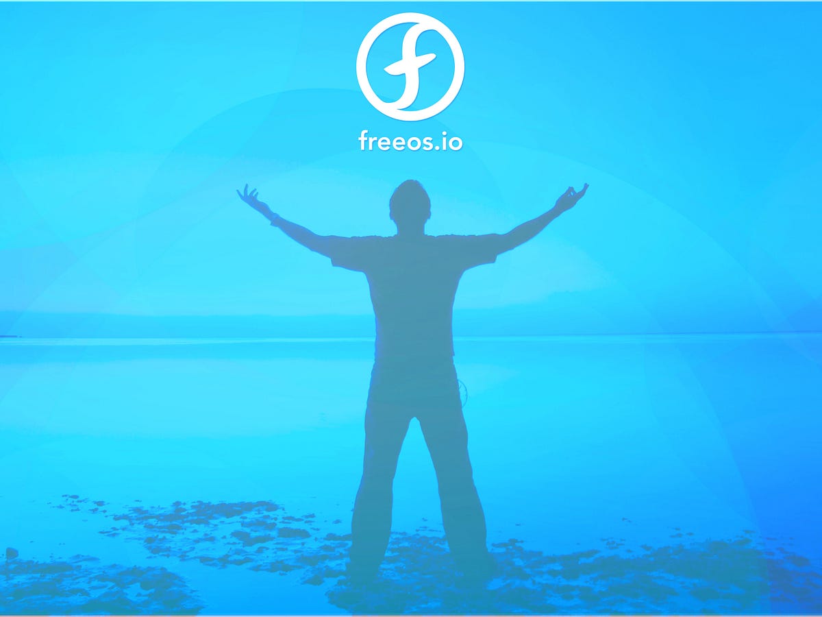 The Freeos Purpose. Passion, applied skilfully to a… | by J. Kelsey ...