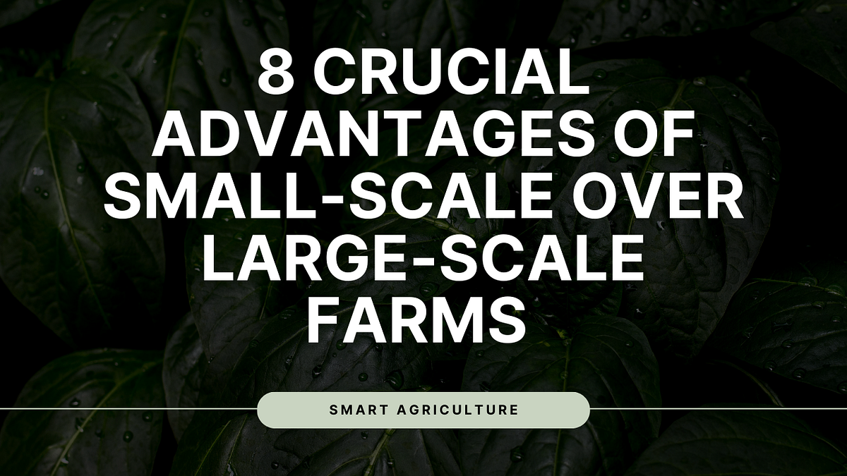Small vs Large Farms 8 Key Benefits of SmallScale Farming U