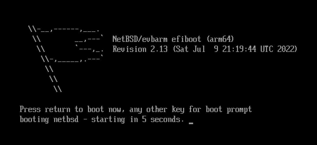 NetBSD VM on M1
